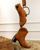 BOTA